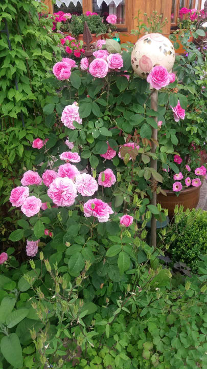 Gartenimpressionen Ferienwohnung Frick