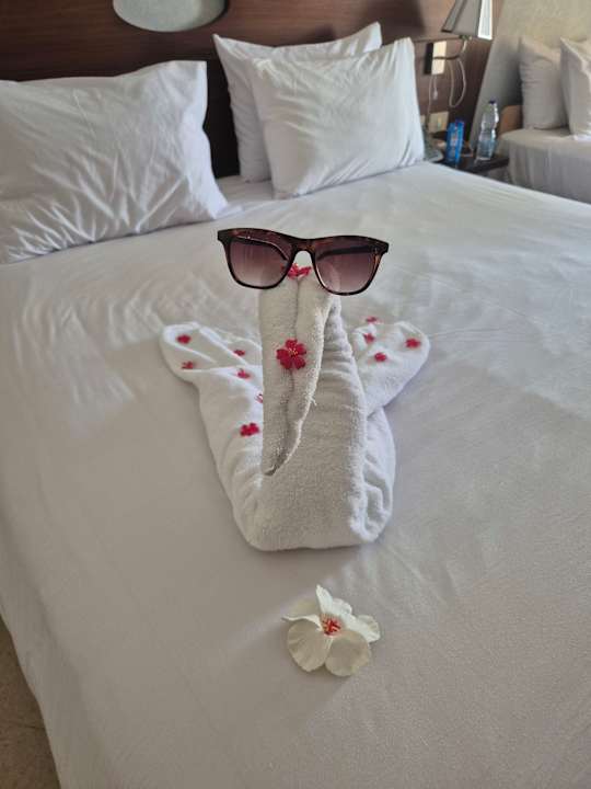 Zimmer Stella Garden Resort & Spa, Makadi Bay