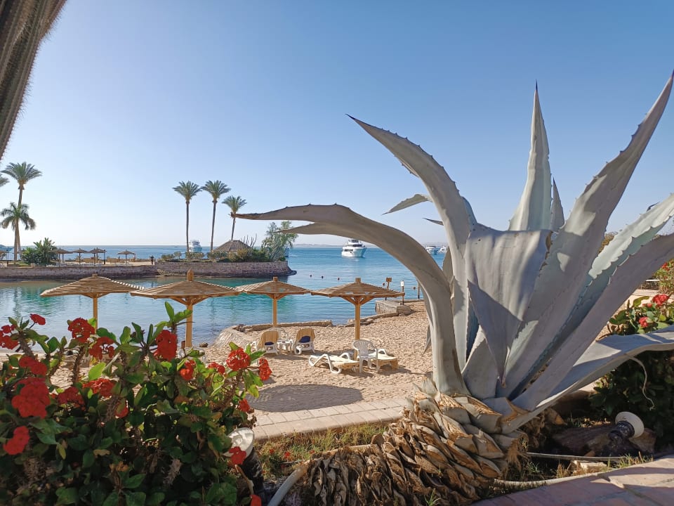 Gartenanlage Marriott Hurghada Beach Resort