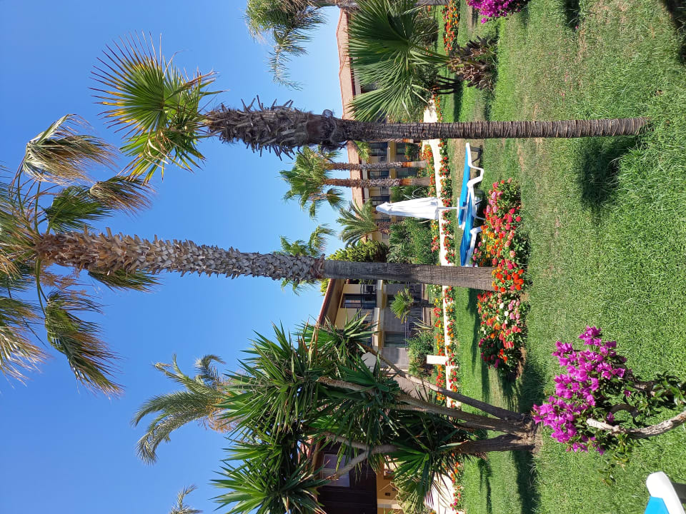 Gartenanlage TUI BLUE Palm Garden