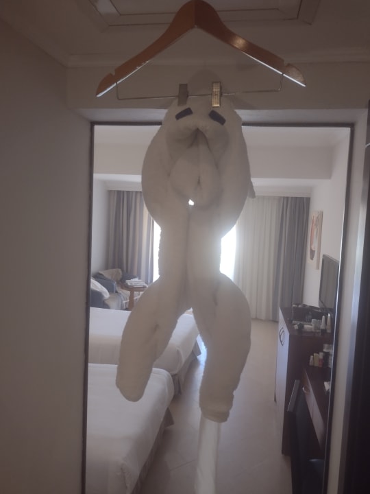 Zimmer Stella Garden Resort & Spa, Makadi Bay