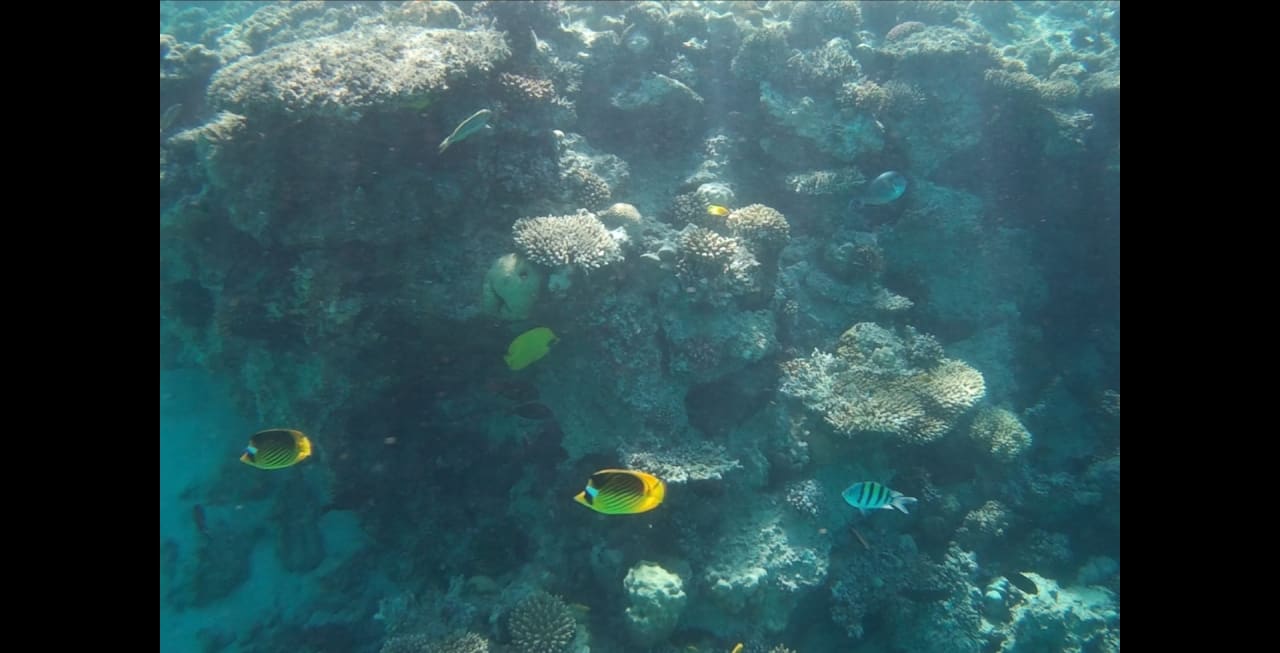 Sport & Freizeit Premier Le Reve Hotel & Spa