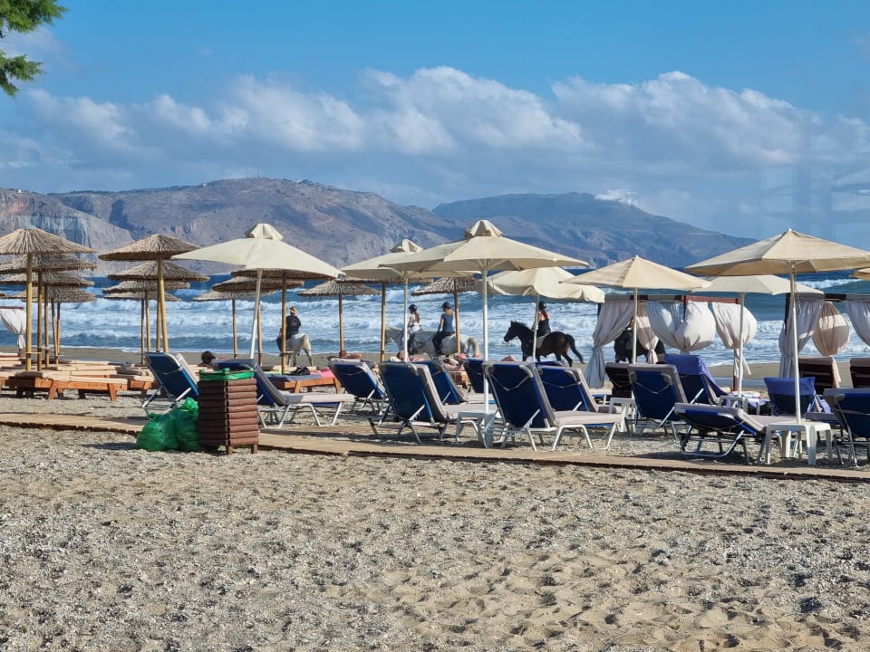 Strand HARPIN Happy Days Beach Hotel