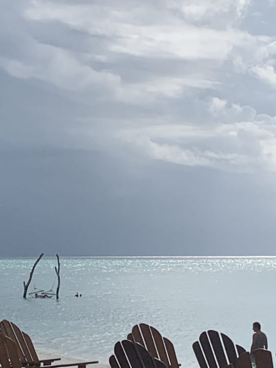 Strand Summer Island Maldives