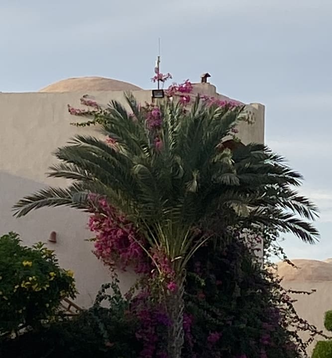 Garten Dream Lagoon Resort & Aqua Park