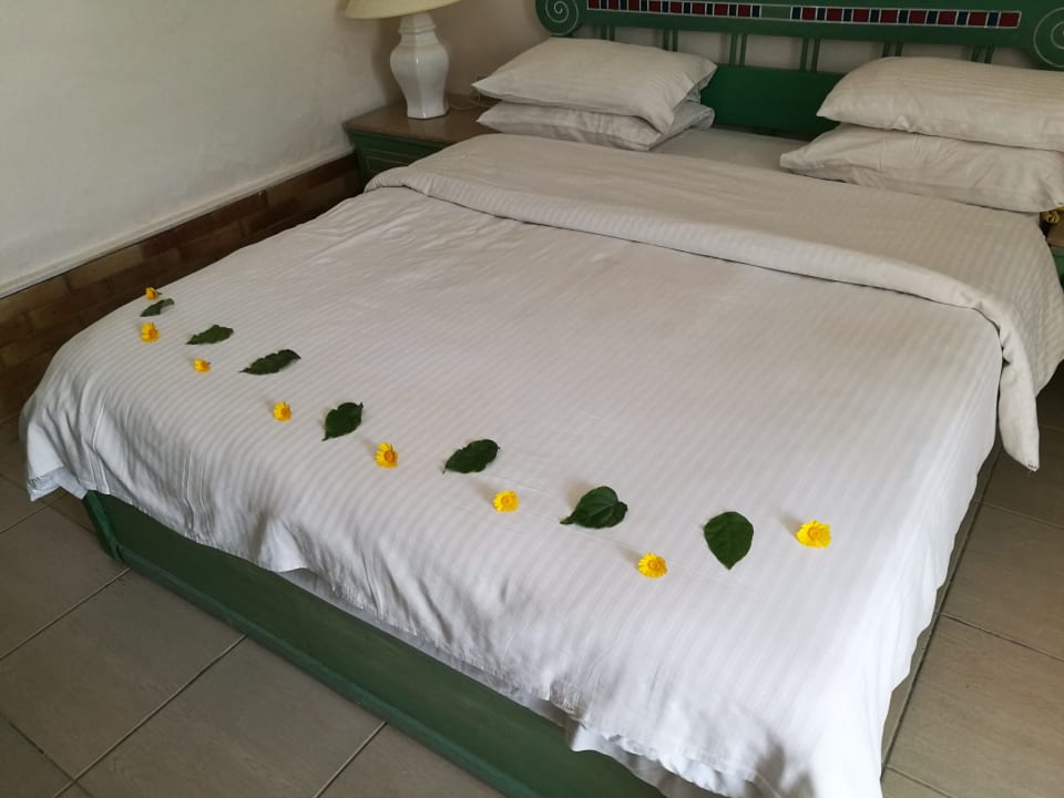 Zimmer Giftun Azur Resort