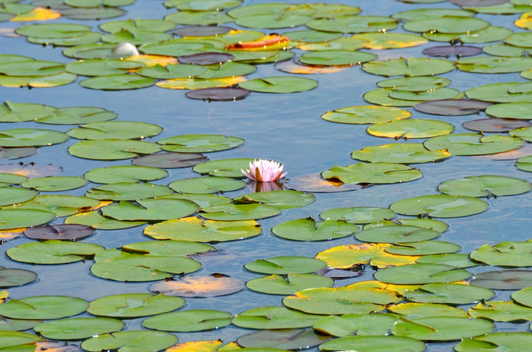 Strand Hotel Sonnengrund