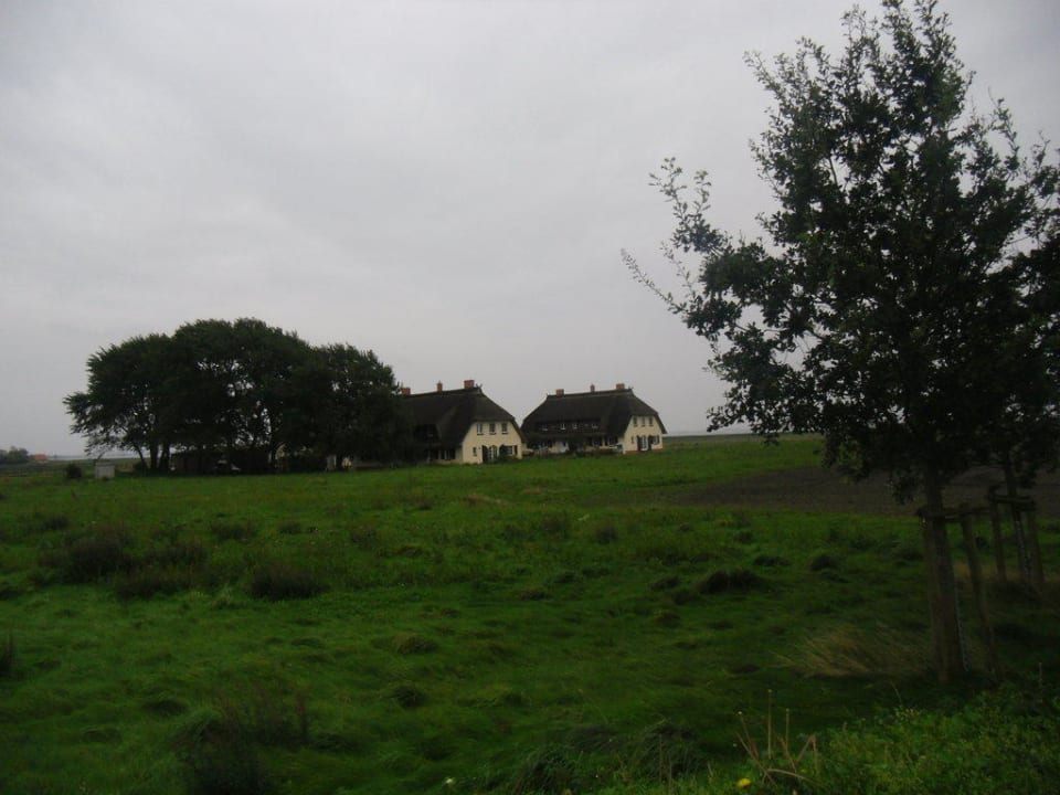Hof Thesenvitz Rügen-Ferienhof