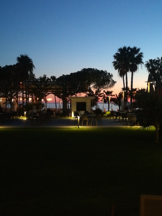 Gastro Acanthus Cennet Barut Collection