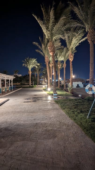 Strand Sentido Caribbean World Soma Bay