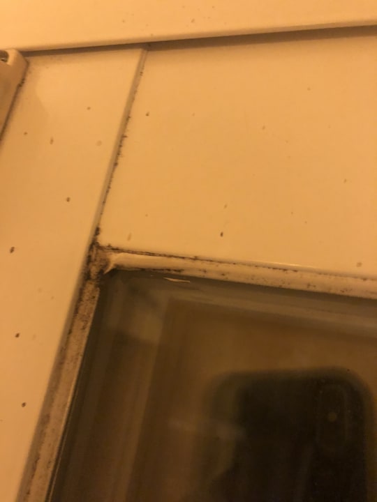 Zimmer MLL Palma Bay Club Resort