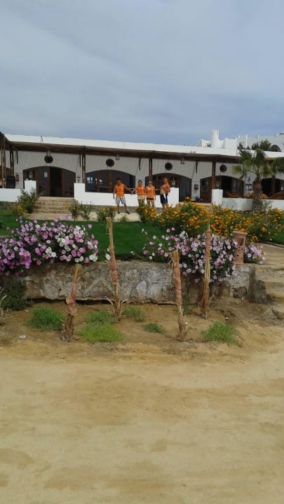 Animationsteam Three Corners Equinox Beach Resort