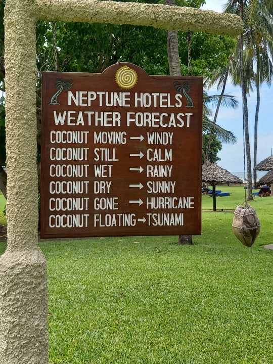 Gartenanlage Neptune Paradise Beach Resort & Spa