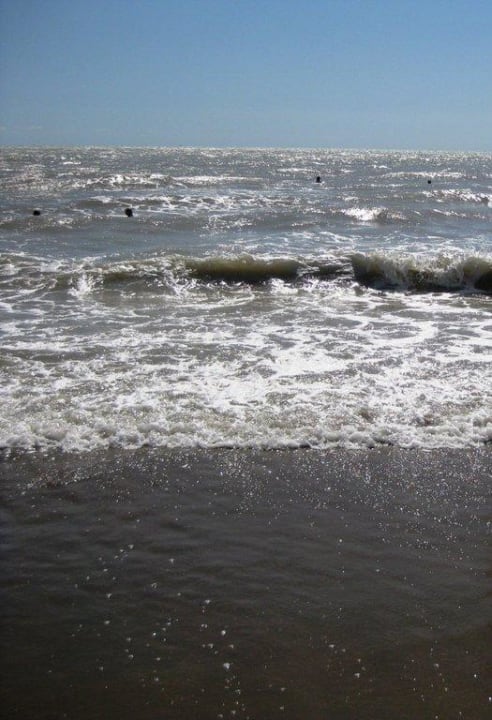 Strand unruhiges Meer Hotel Cavallino Bianco