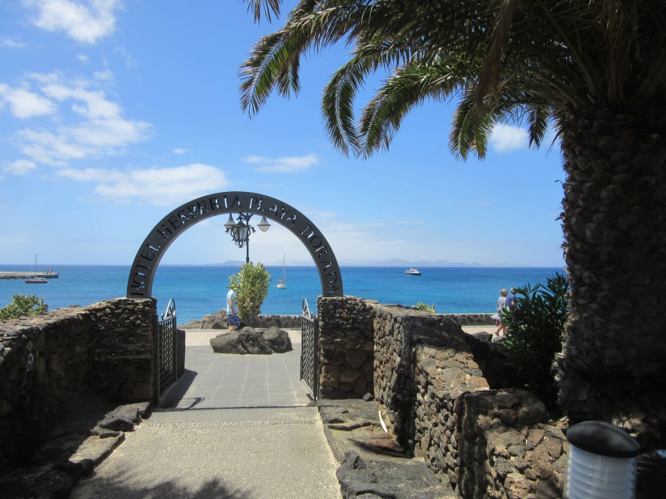 Ausblick Dreams Lanzarote Playa Dorada Resort & Spa