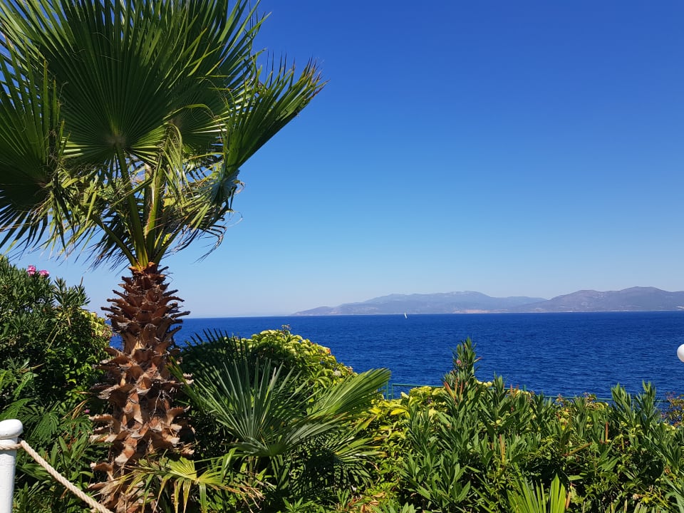 Ausblick Hotel Pine Bay Holiday Resort