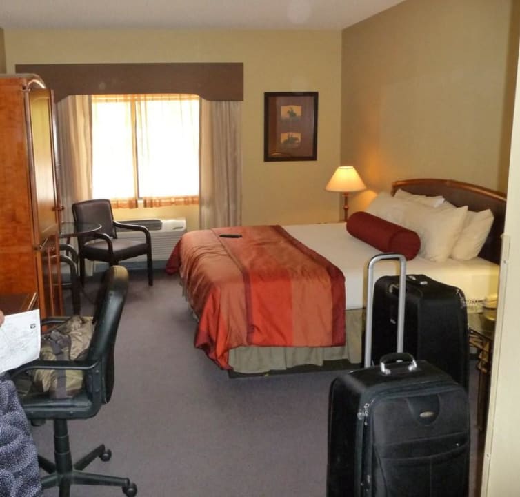 Zimmer 104 Best Western Plus Hotel Inn of Williams