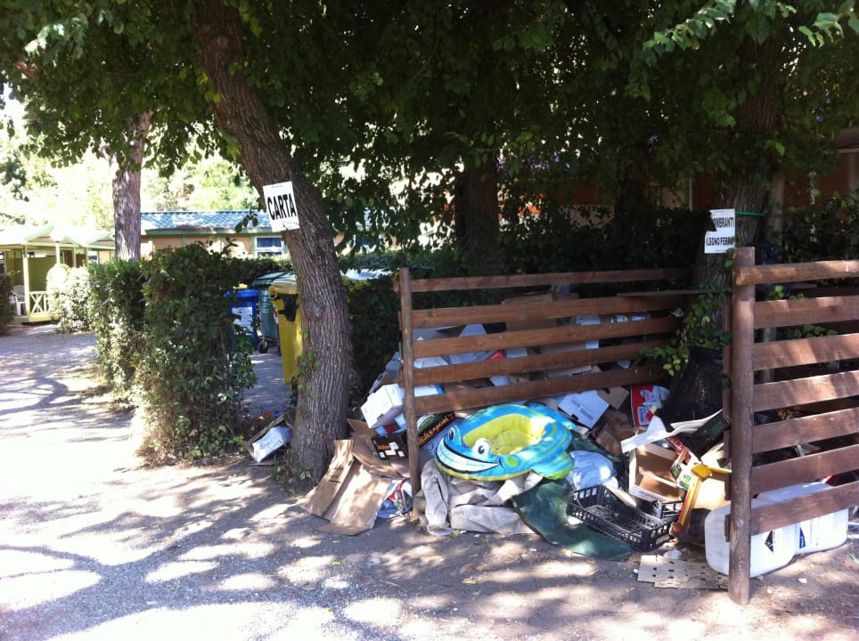 Local poubelle Camping Free Beach