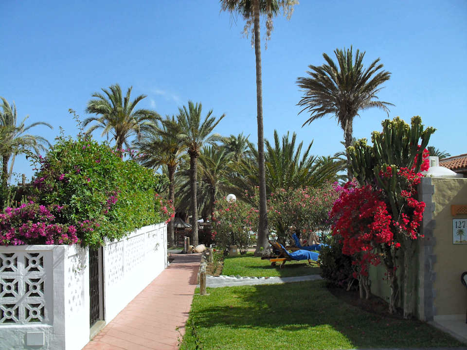 Weg zum Pool HL Miraflor Suites Hotel