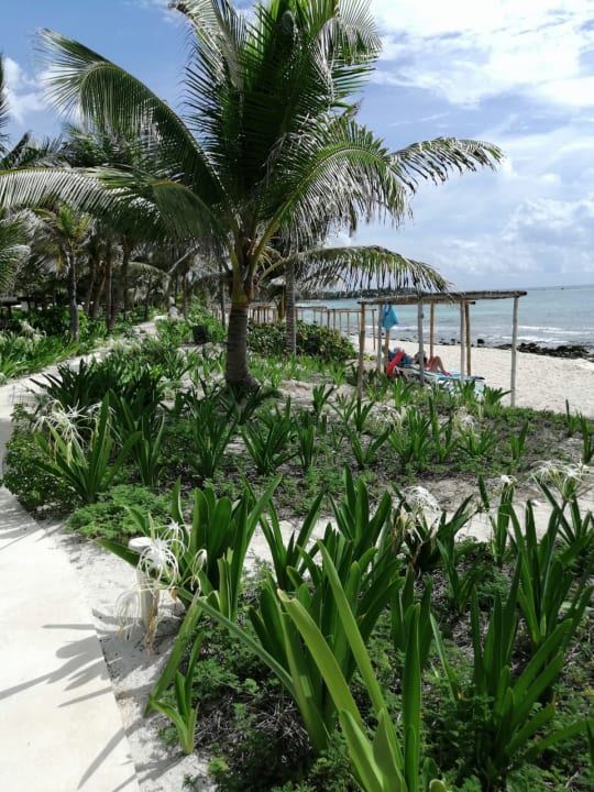 Gartenanlage Akumal Bay Beach & Wellness Resort