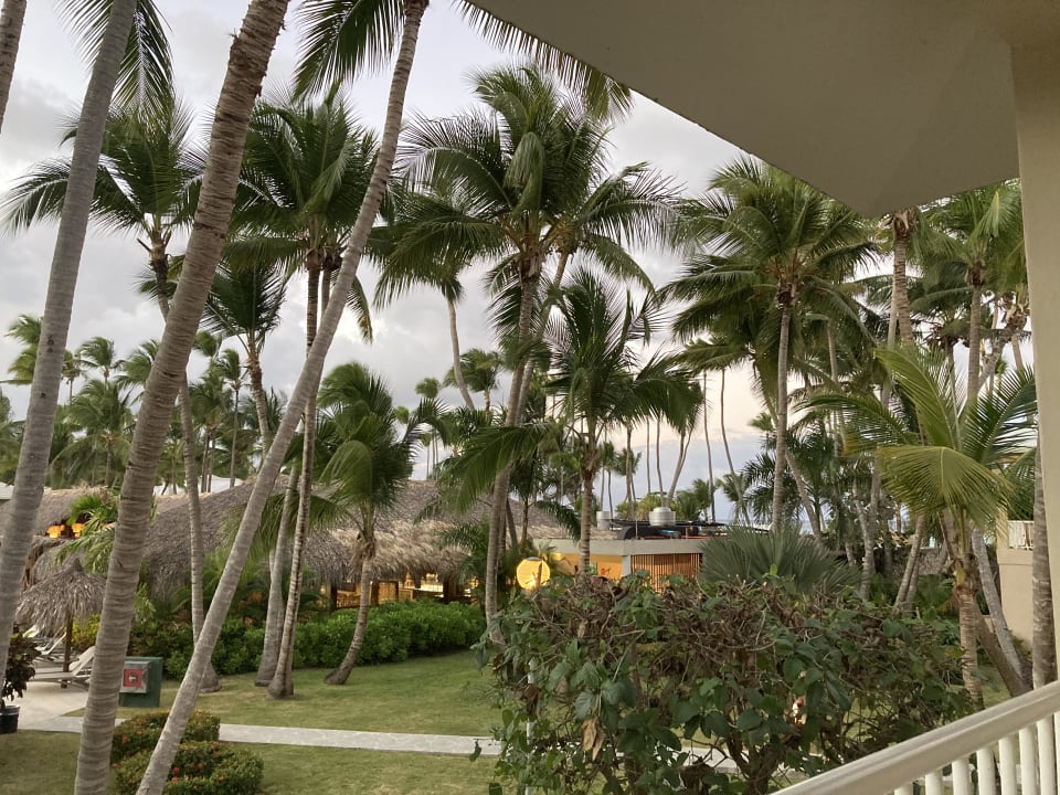 Ausblick Hotel Grand Palladium Palace Resort, Spa & Casino