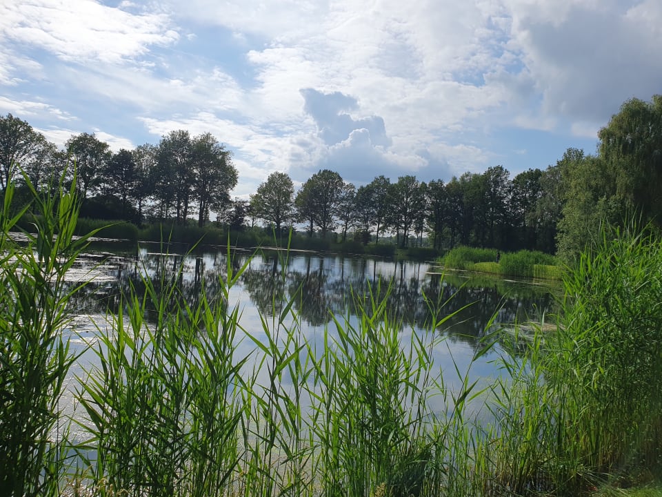 Gartenanlage Ferienpark Buitenhof De Leistert