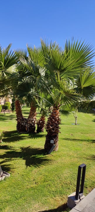 Ausblick Sunrise Tucana Resort - Grand Select