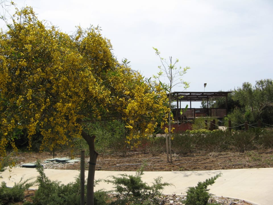 Gartenanlage  Lykia World Antalya