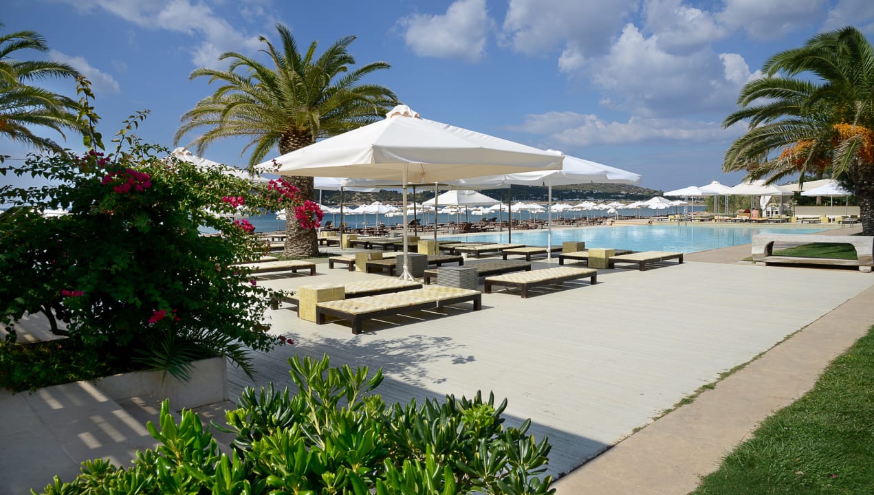 Pool Plaza Resort Hotel