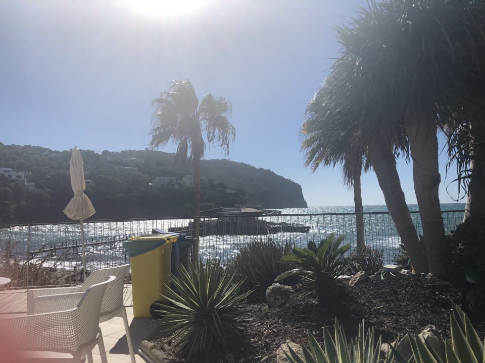 Gartenanlage Grupotel Playa Camp de Mar