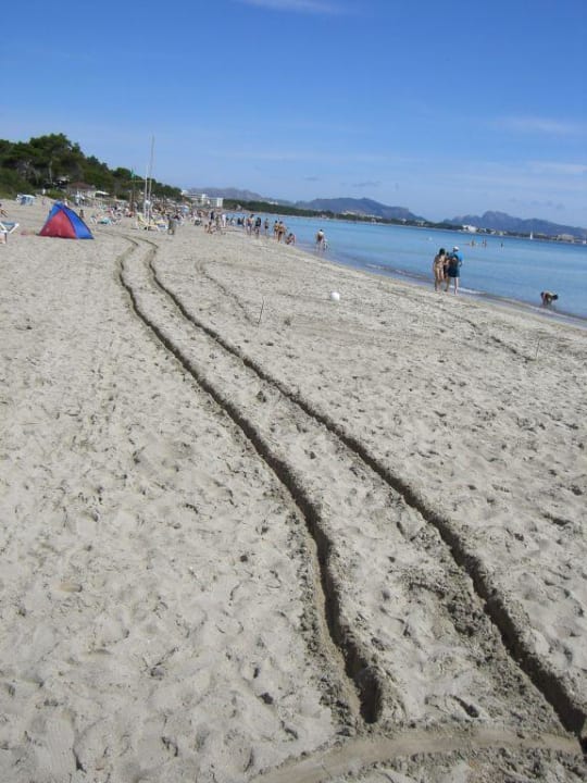 Spuren im Sand Iberostar Waves Playa de Muro