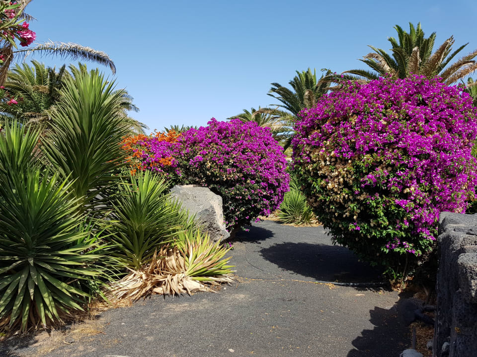 Gartenanlage Relaxia Olivina