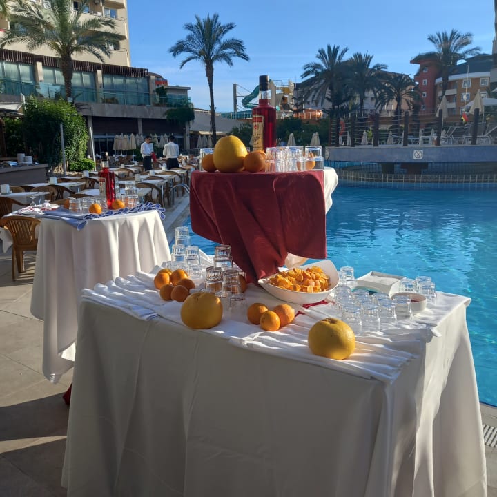 Gastro Alaiye Resort & Spa