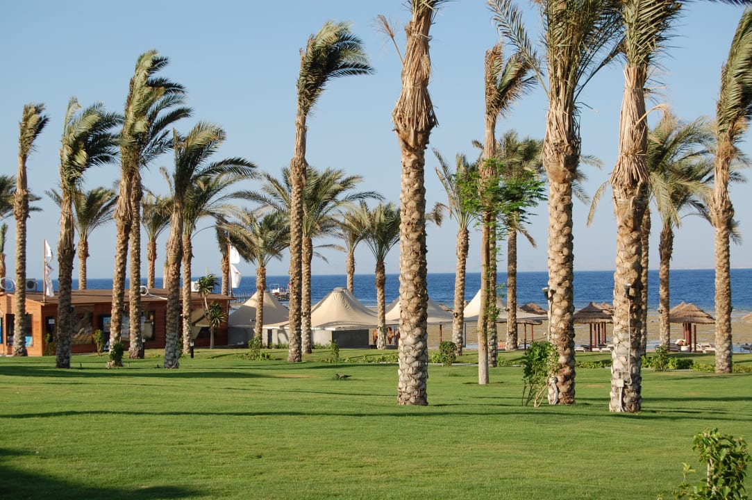 Strand Rixos Sharm El Sheikh Adults Only 18 +