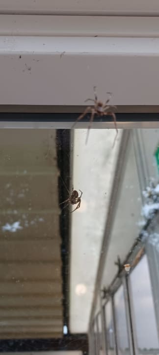 Sonstiges Oostappen Vakantiepark Marina Beach