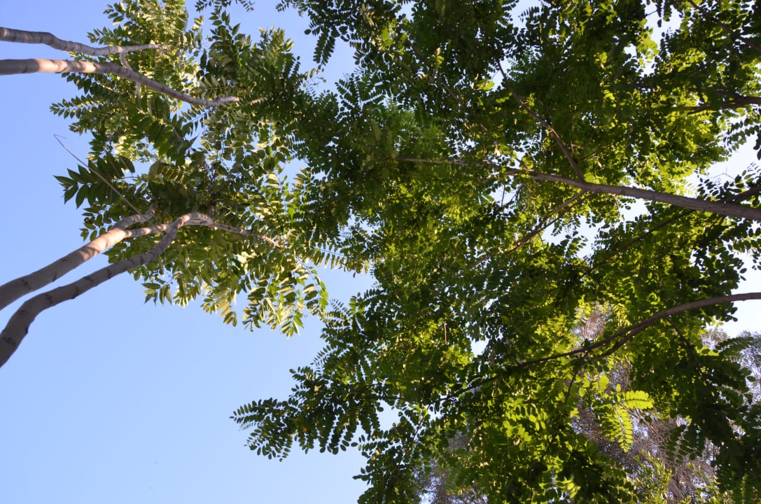 Gartenanlage Bastion Inn