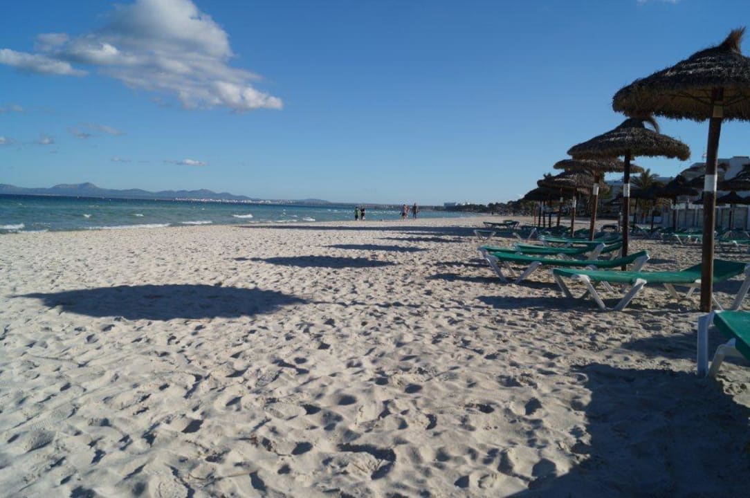 Strandabschnitt direkt am Hotel Aparthotel Ivory Playa