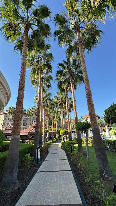 Außenansicht allsun Numa Club Side