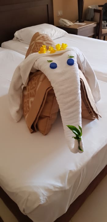 Zimmer Jaz Dar EL Madina