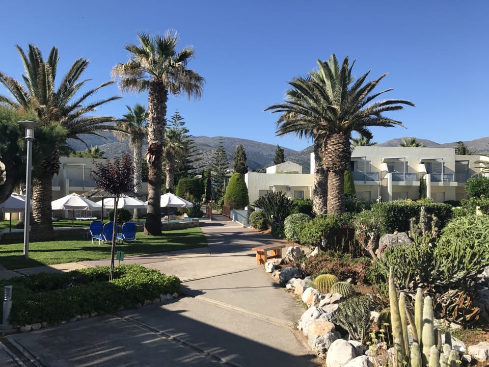 Gartenanlage Phãea Cretan Malia