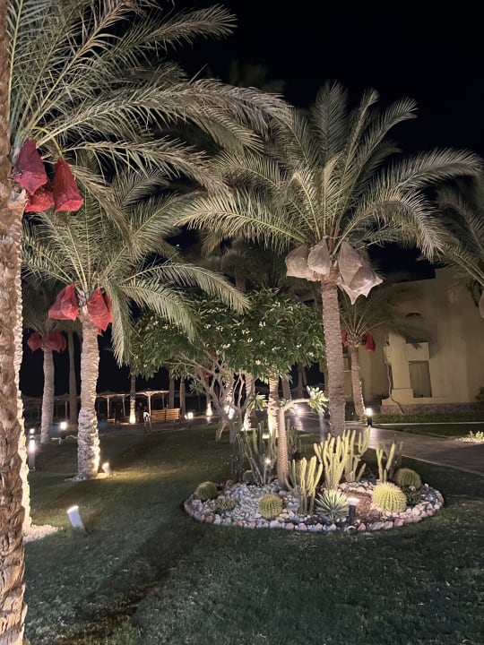 Außenansicht Palm Beach Resort