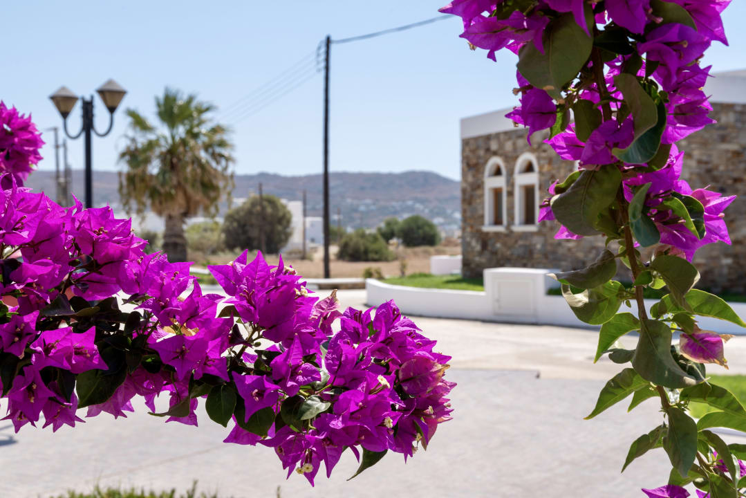 Gartenanlage Plaza Beach Hotel
