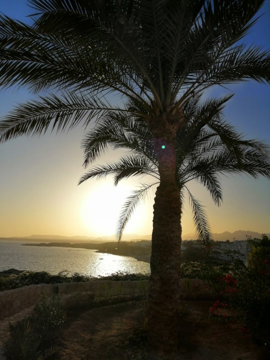 Außenansicht Sharm Resort