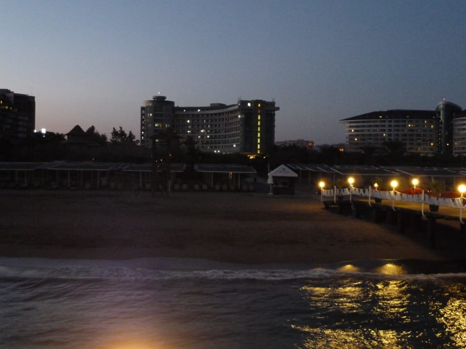 Sherwood bei Nacht Sherwood Exclusive Lara