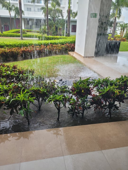 Gartenanlage Hotel Riu Dunamar