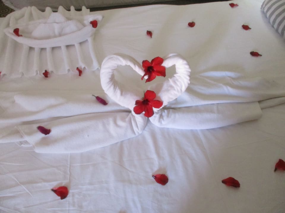 Zimmer Insula Resort & Spa