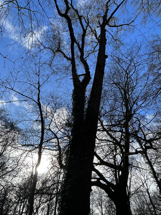 Gartenanlage Vila Vita Burghotel Dinklage