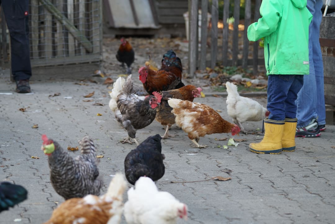 Sport & Freizeit Ferienhof Schmid