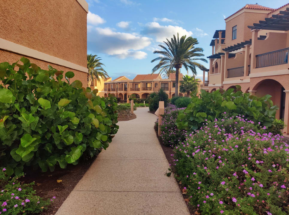 Gartenanlage Bakour Fuerteventura La Pared