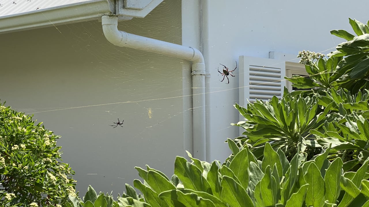 Sonstiges Bakwa Lodge